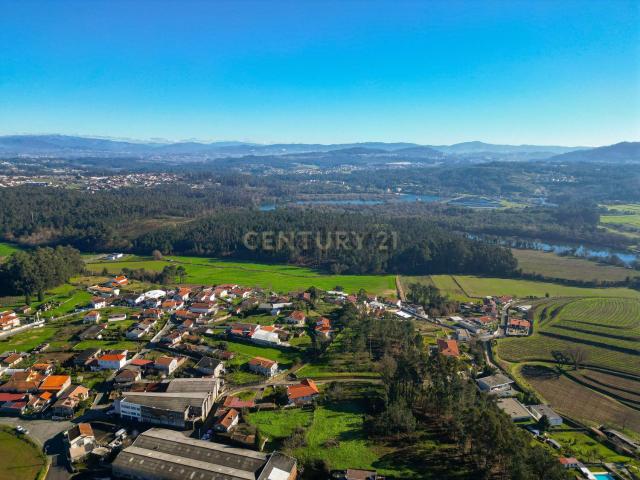 Terreno, Manhente