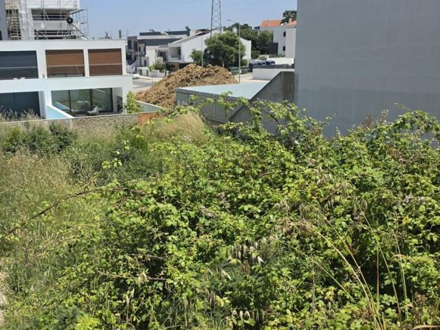 Terreno, Gâmbia Pontes Alto da Guerra