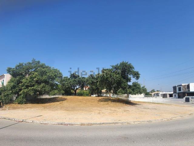Terreno, Gâmbia Pontes Alto da Guerra