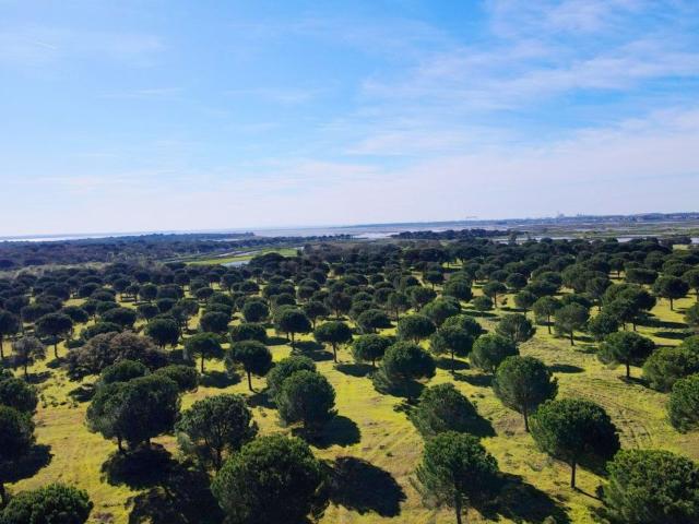 Terreno, Gâmbia Pontes Alto da Guerra
