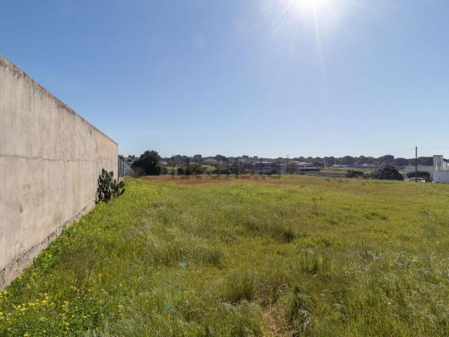 Terreno, Gâmbia Pontes Alto da Guerra