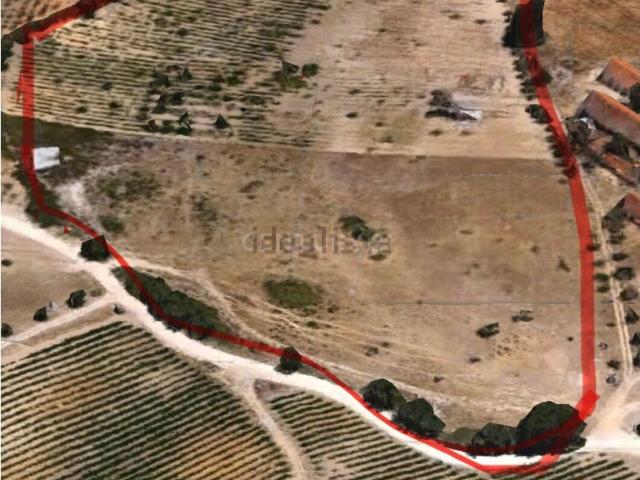 Terreno, Gâmbia Pontes Alto da Guerra
