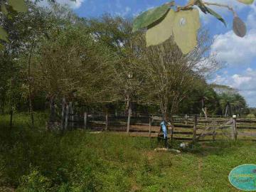 Rancho en Venta en Quintana roo. 920.37 Ha Nuevo Tabasco