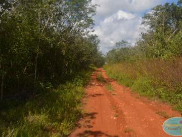 Terreno ganadero en venta en mpio. Bacalar 940.57 Ha Nuevo Tabasco