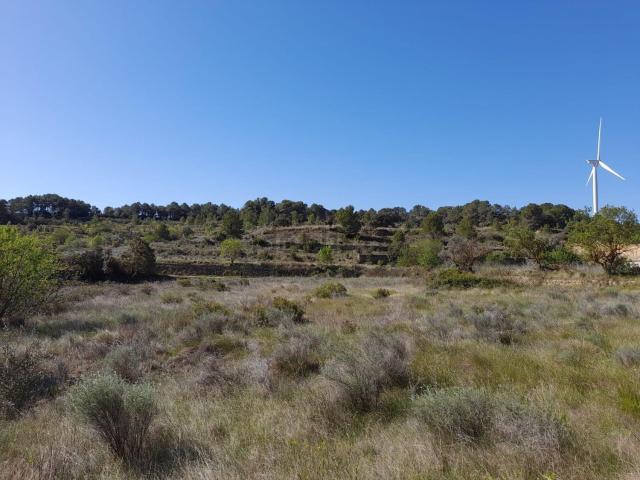 Terreno, Gandesa