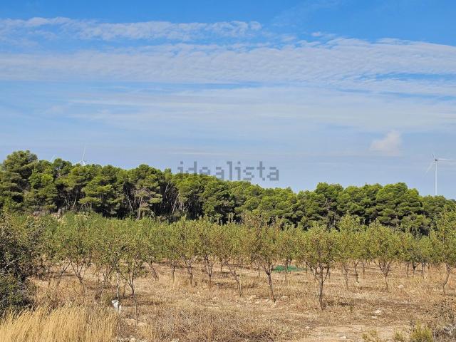 Terreno, Gandesa