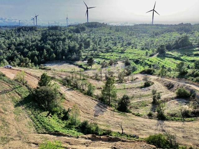 Terreno, Gandesa