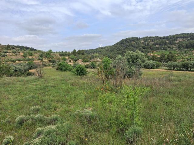 Terreno, Gandesa
