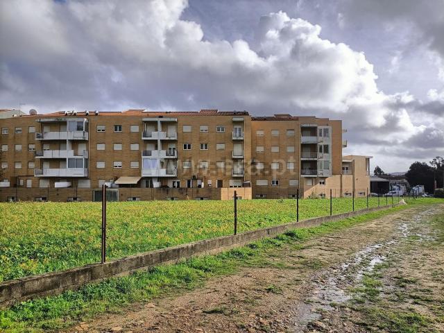 Terreno, Gandra