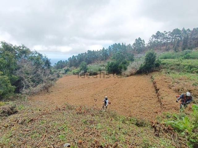 Terreno, Garachico