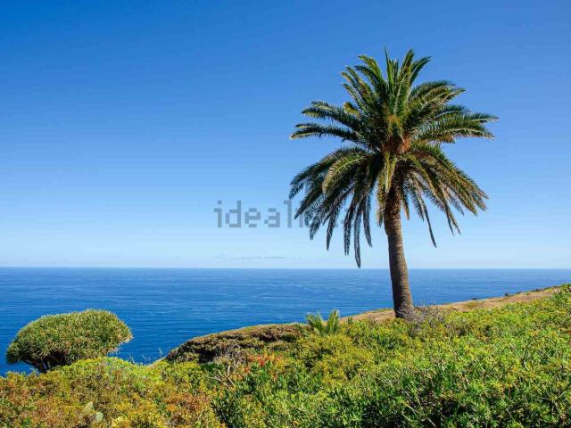 Terreno, Garafia