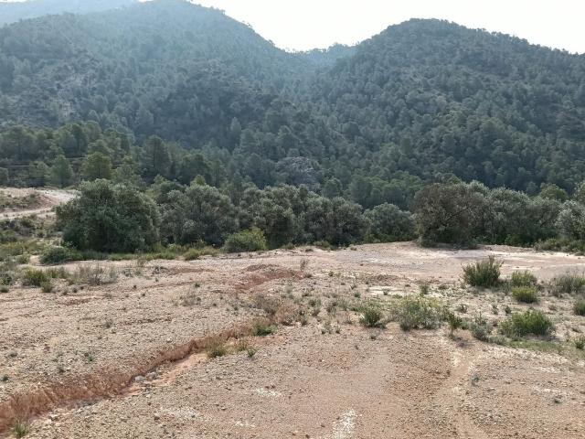Terreno, Garcia