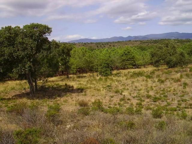 Terreno, Garriguella