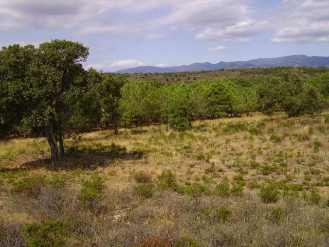 Terreno, Garriguella