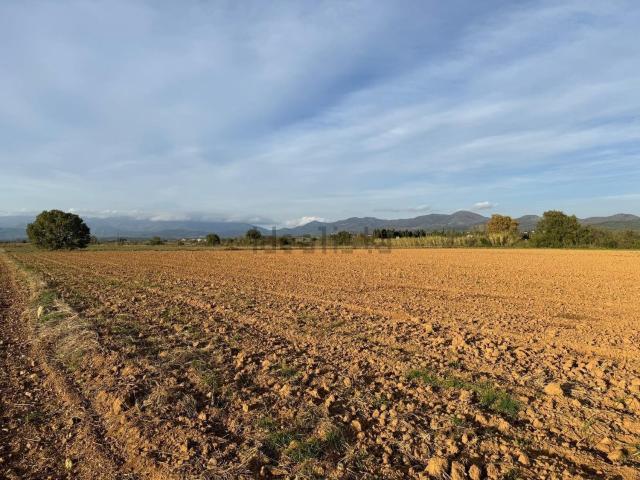 Terreno, Garriguella