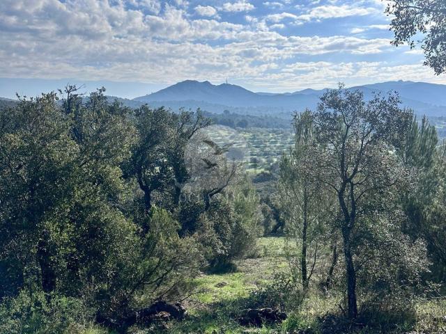Terreno, Garriguella