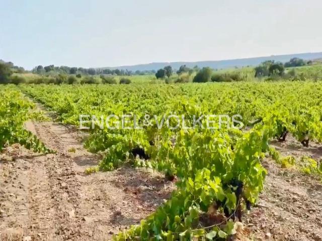Terreno, Garriguella