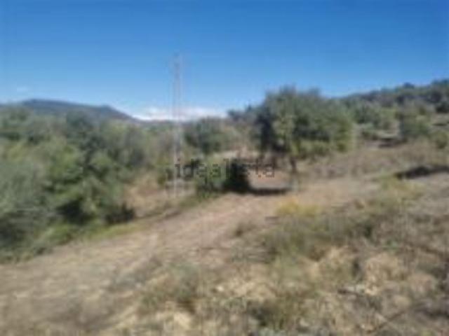 Terreno, Gaucin