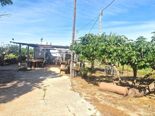 Terreno, Gavà