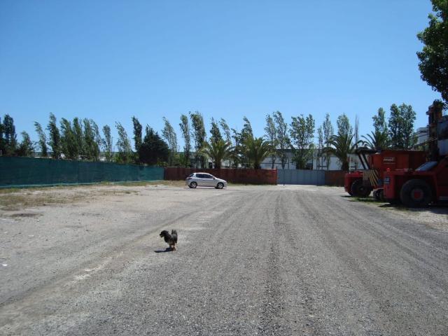 Terreno, Gavà