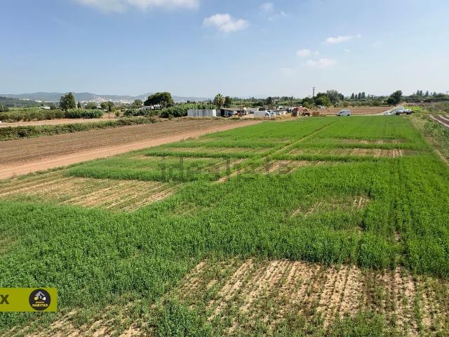 Terreno, Gavà