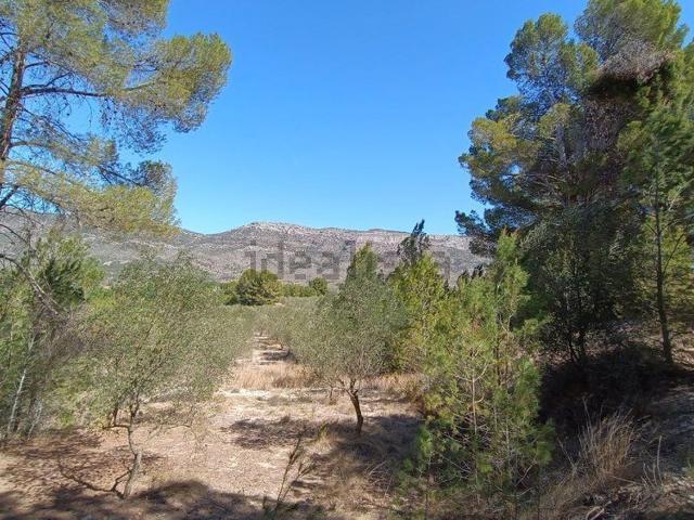 Terreno, Gayanes