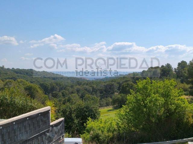 Terreno, Genova, Palma de Mallorca