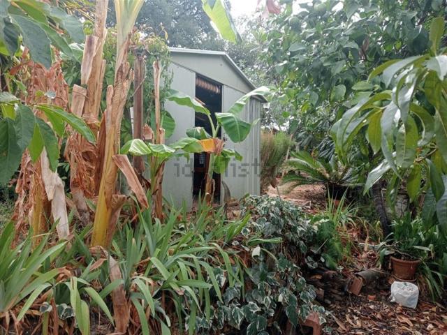 Terreno, Genalguacil