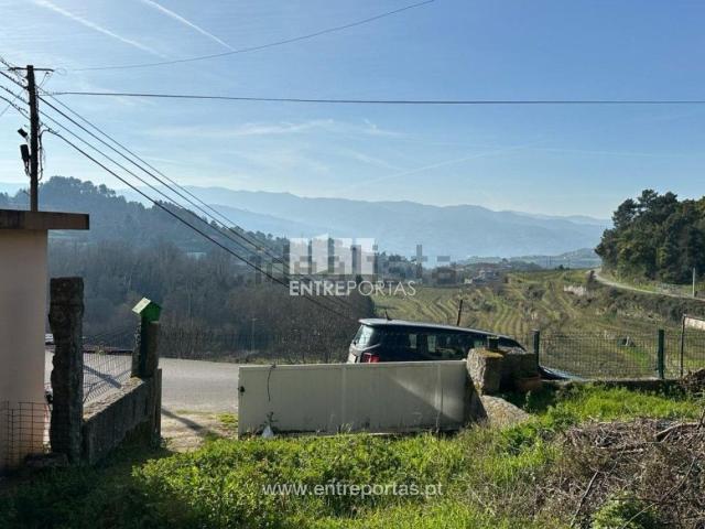 Terreno, Gestaçô