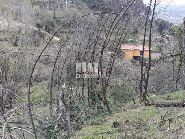 Terreno, Gestaçô