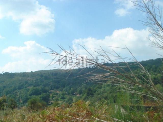 Terreno, Gestaçô
