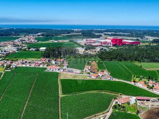 Terreno, Gião