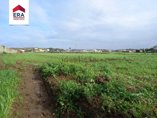 Terreno, Gião