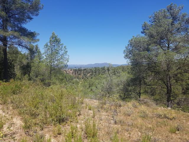 Terreno, Ginestar