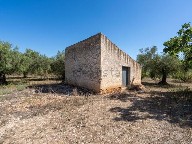 Terreno, Godall