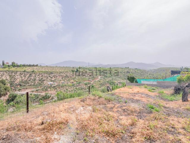 Terreno, Gojar