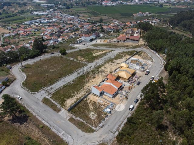 Terreno, Golpilheira
