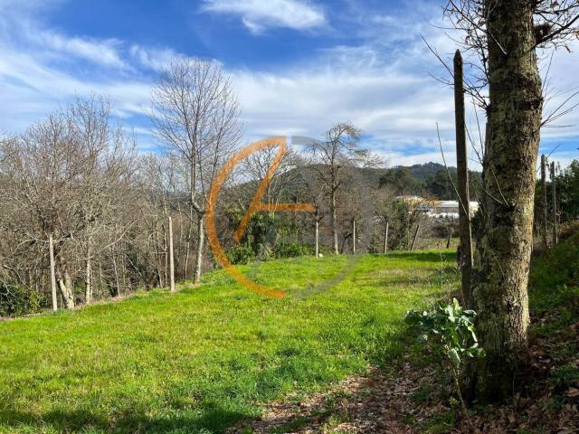Terreno, Gonça