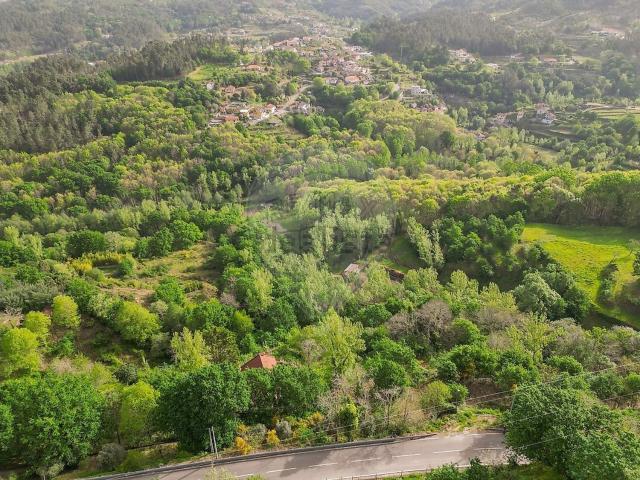 Terreno, Gondar