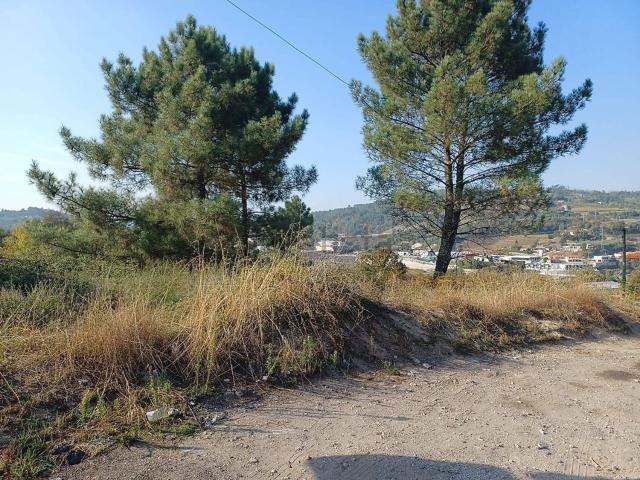 Terreno, Gondar