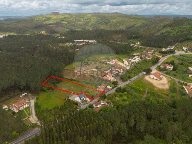 Terreno, Olival