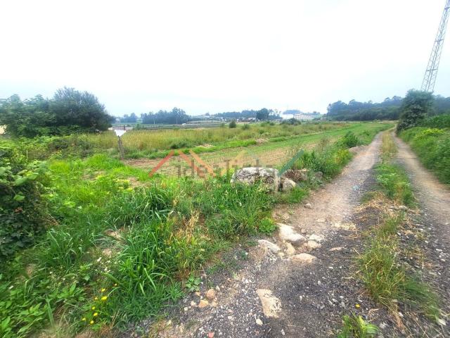 Terreno, Gondifelos