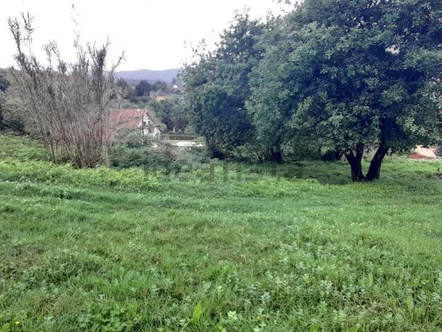 Terreno, Gondomar
