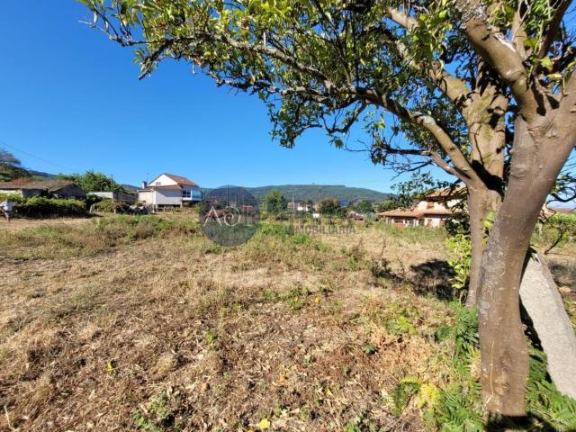 Terreno, Gondomar
