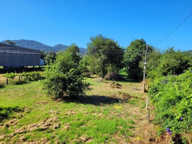 Terreno, Gondomar