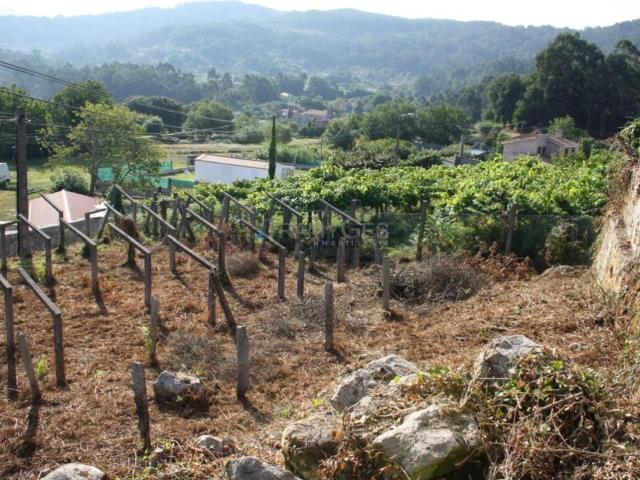 Terreno, Gondomar
