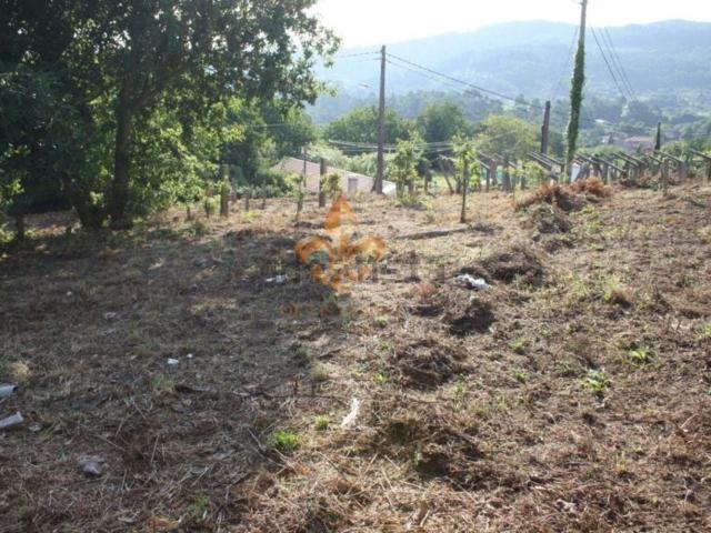 Terreno, Gondomar