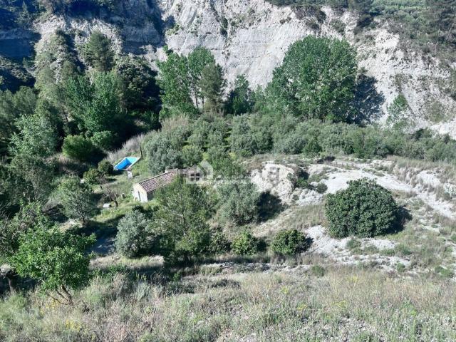 Terreno, Gorga