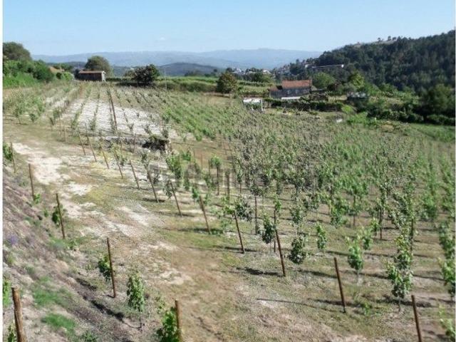 Terreno, Gove