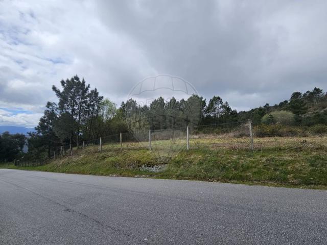Terreno, Gove
